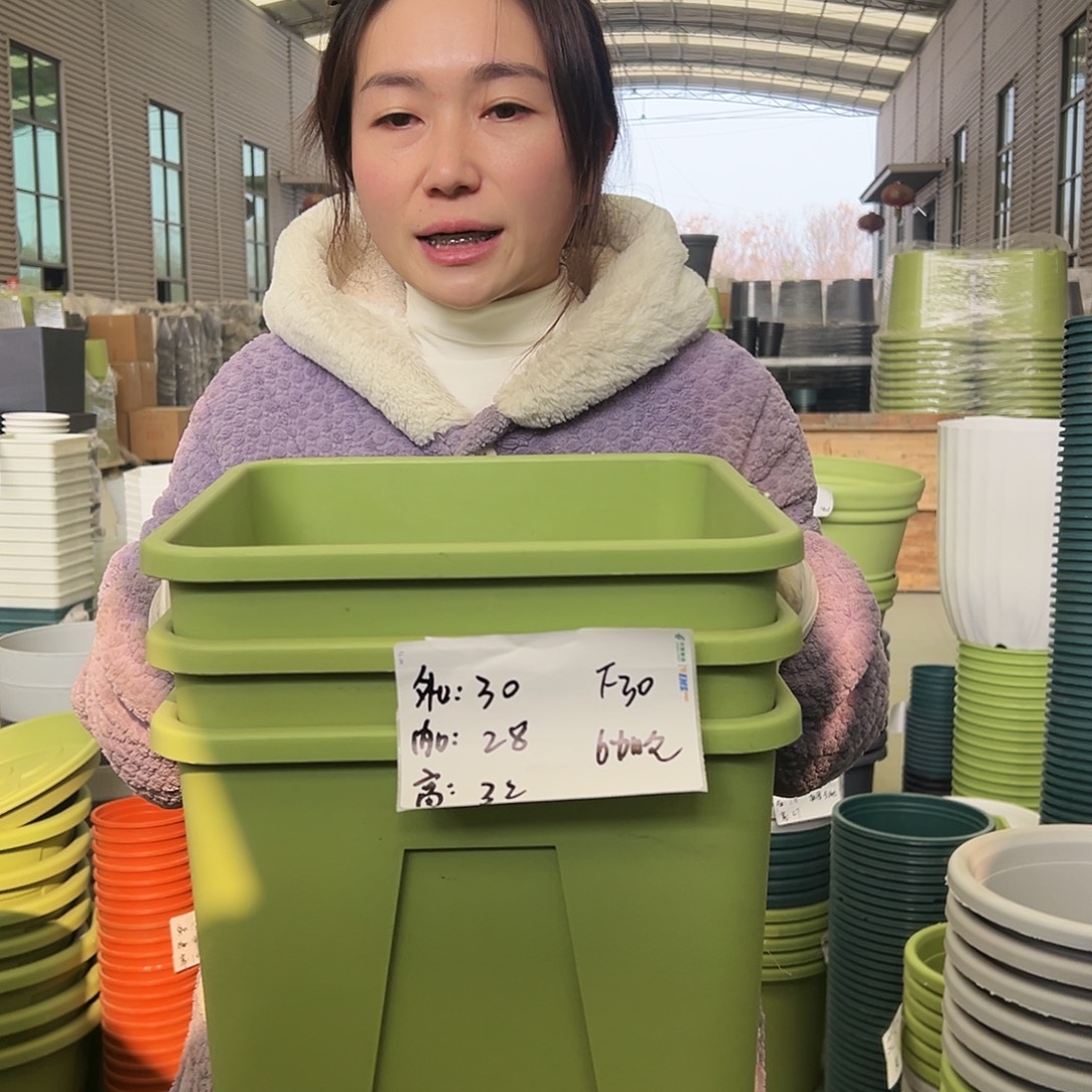 方盆F30果绿3个无托