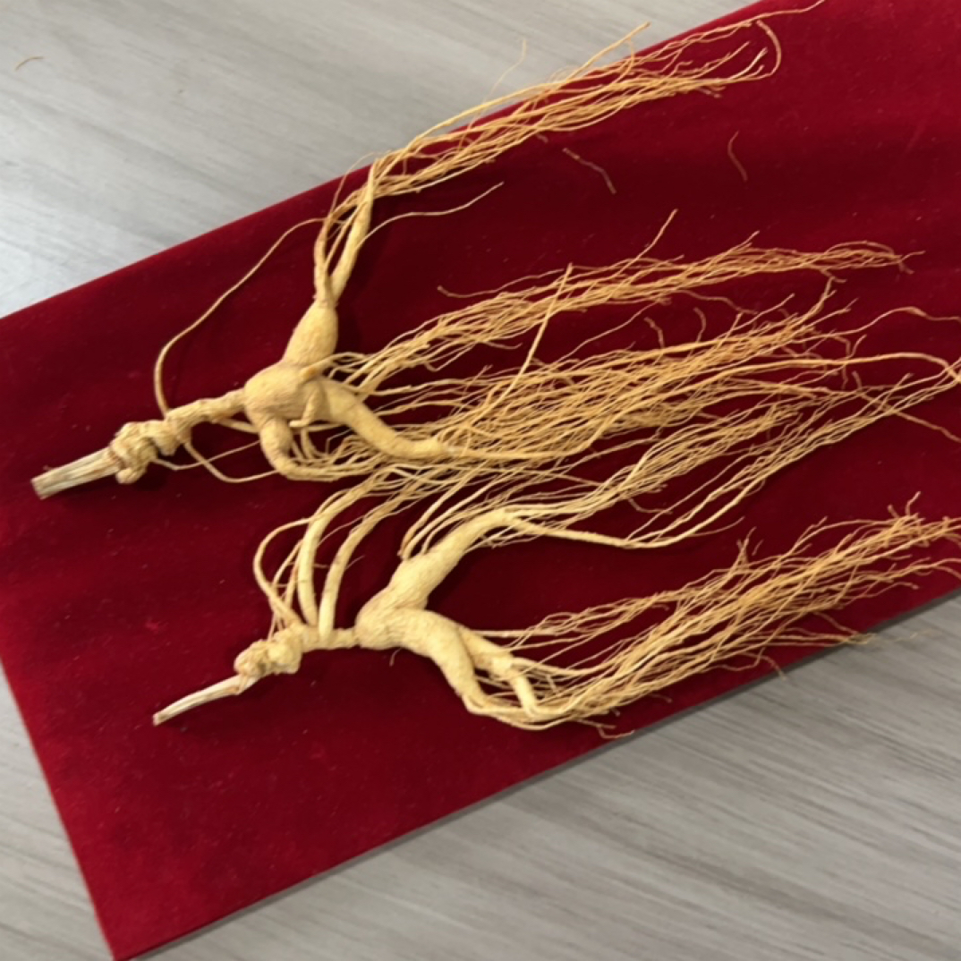 精品人参林下池床籽参-散参礼盒