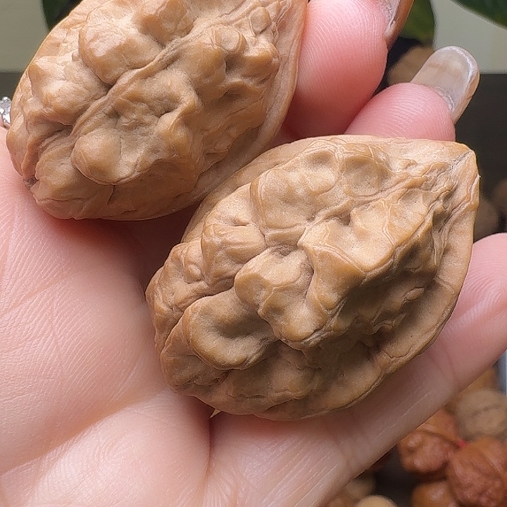 吊坠文玩核桃毒瘤蝎子王