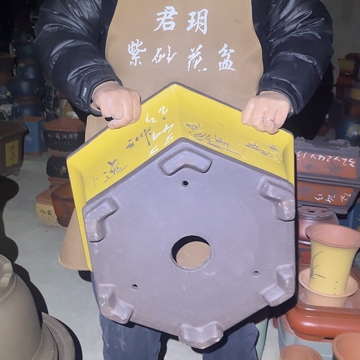 紫砂花盆紫砂花盆盆栽