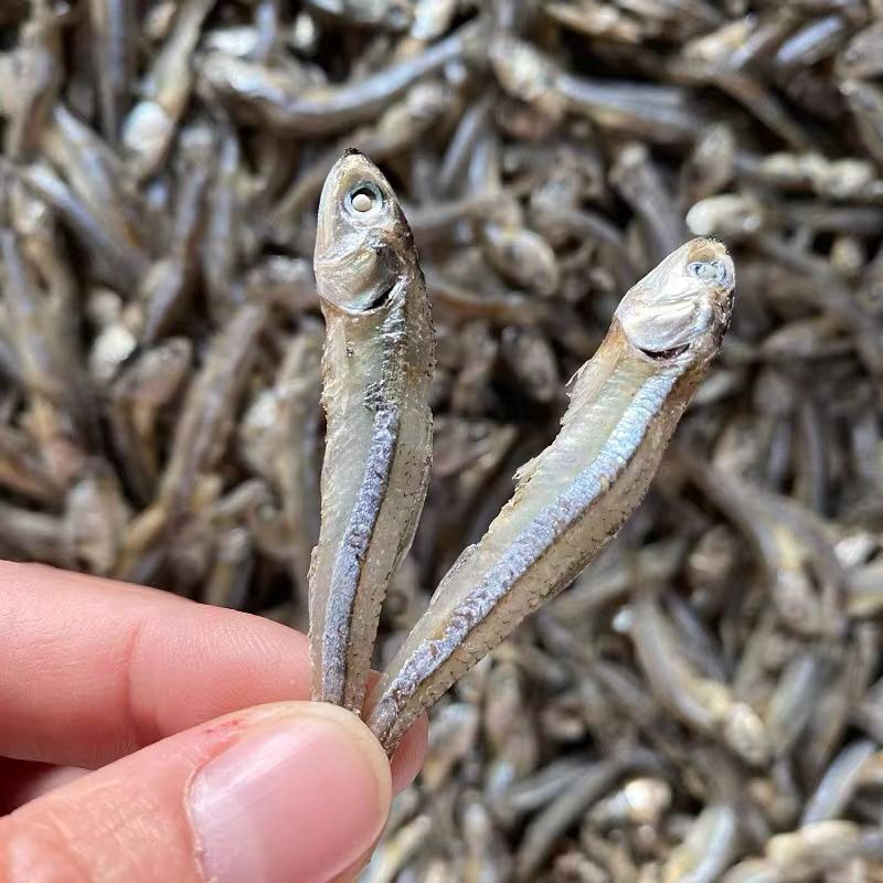 美味海燕鱼干丁香鱼干等多种小鱼干海鲜干货特产