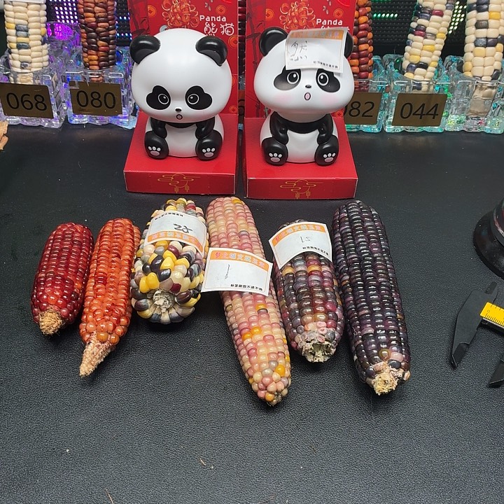 ****晞吊坠柏香籽/百香籽