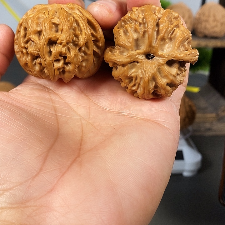 把件文玩核桃红皮果老树平果园骨质棒