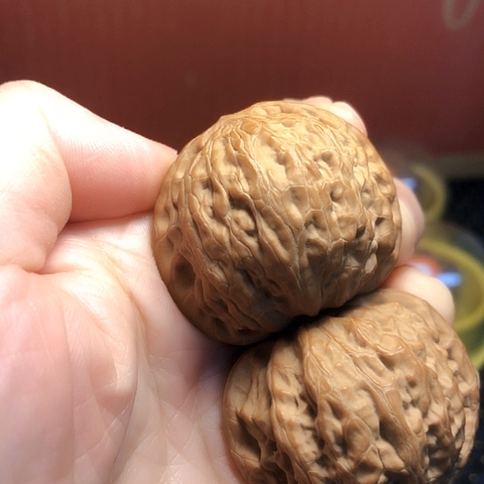 精品福利：原桩铁锤