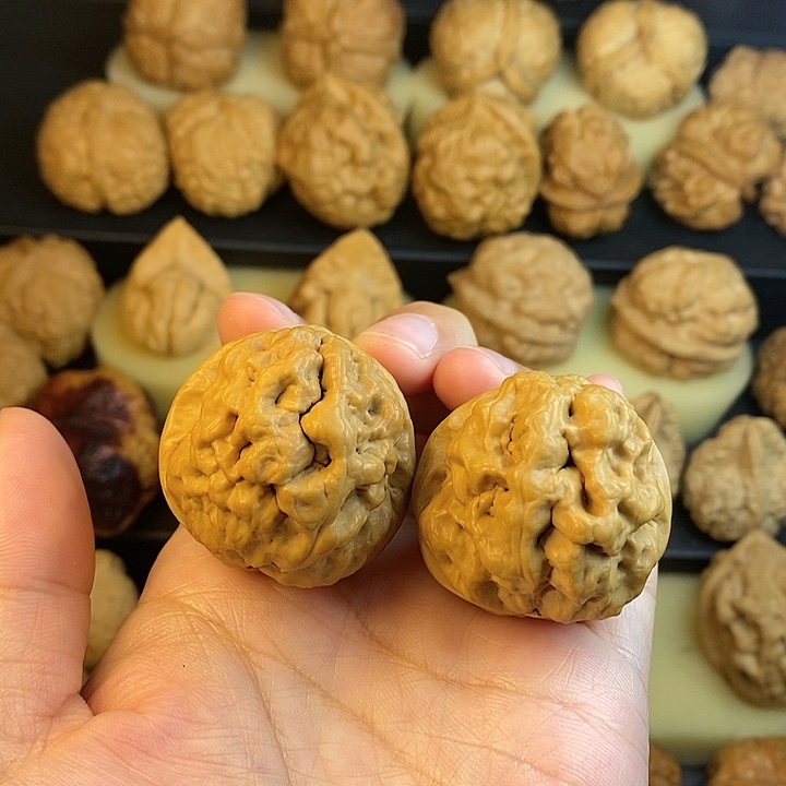 文玩核桃吊坠侏****龙五毒41