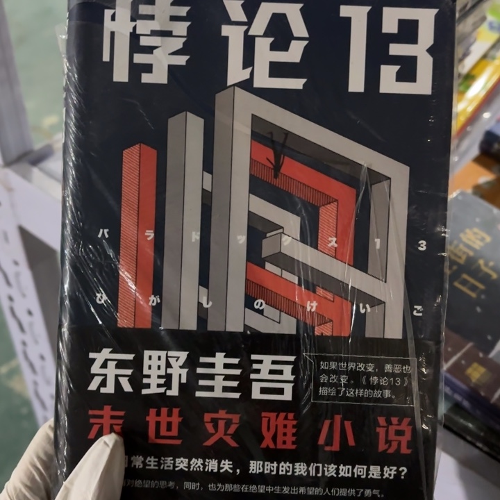 悖论13 闪购闪购闪购微瑕10