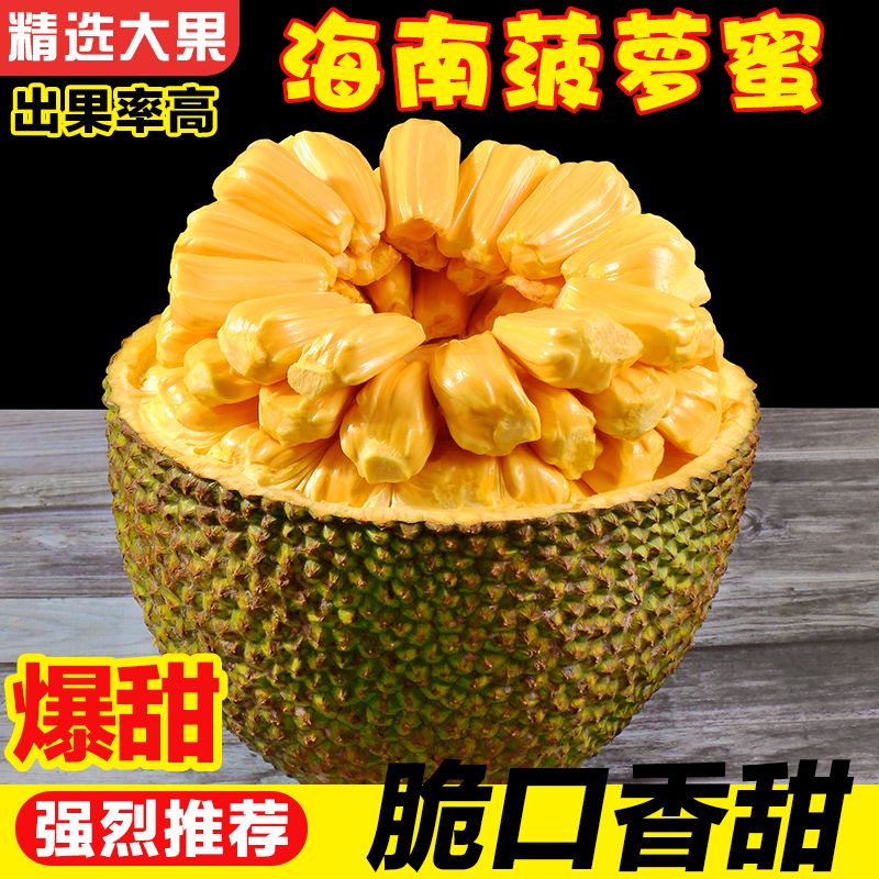 【直播选果】海南菠萝蜜一整个新鲜水果当季干苞黄肉波罗蜜整箱包邮