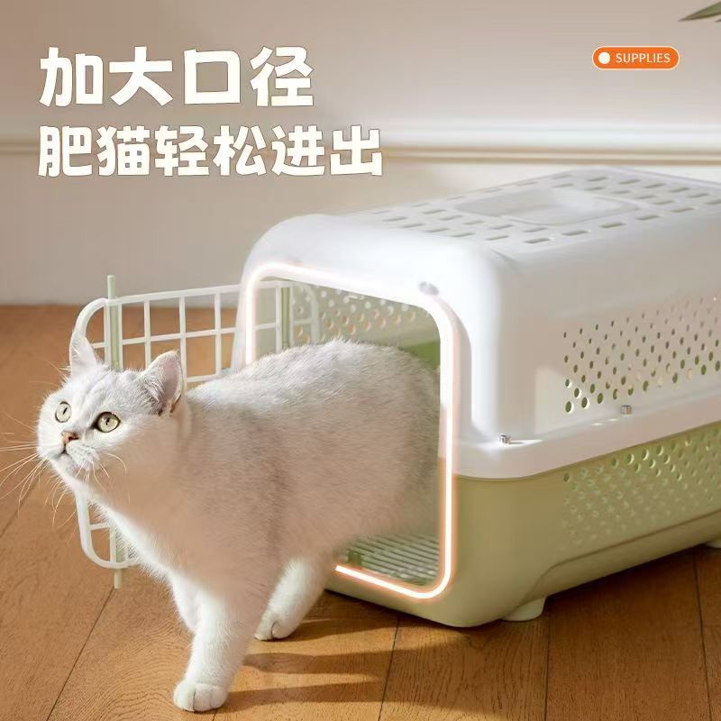 小猫笼子（拍前联系达人）