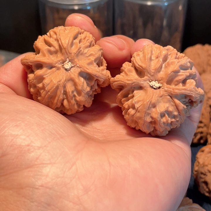 文玩核桃把件?****42苹果园