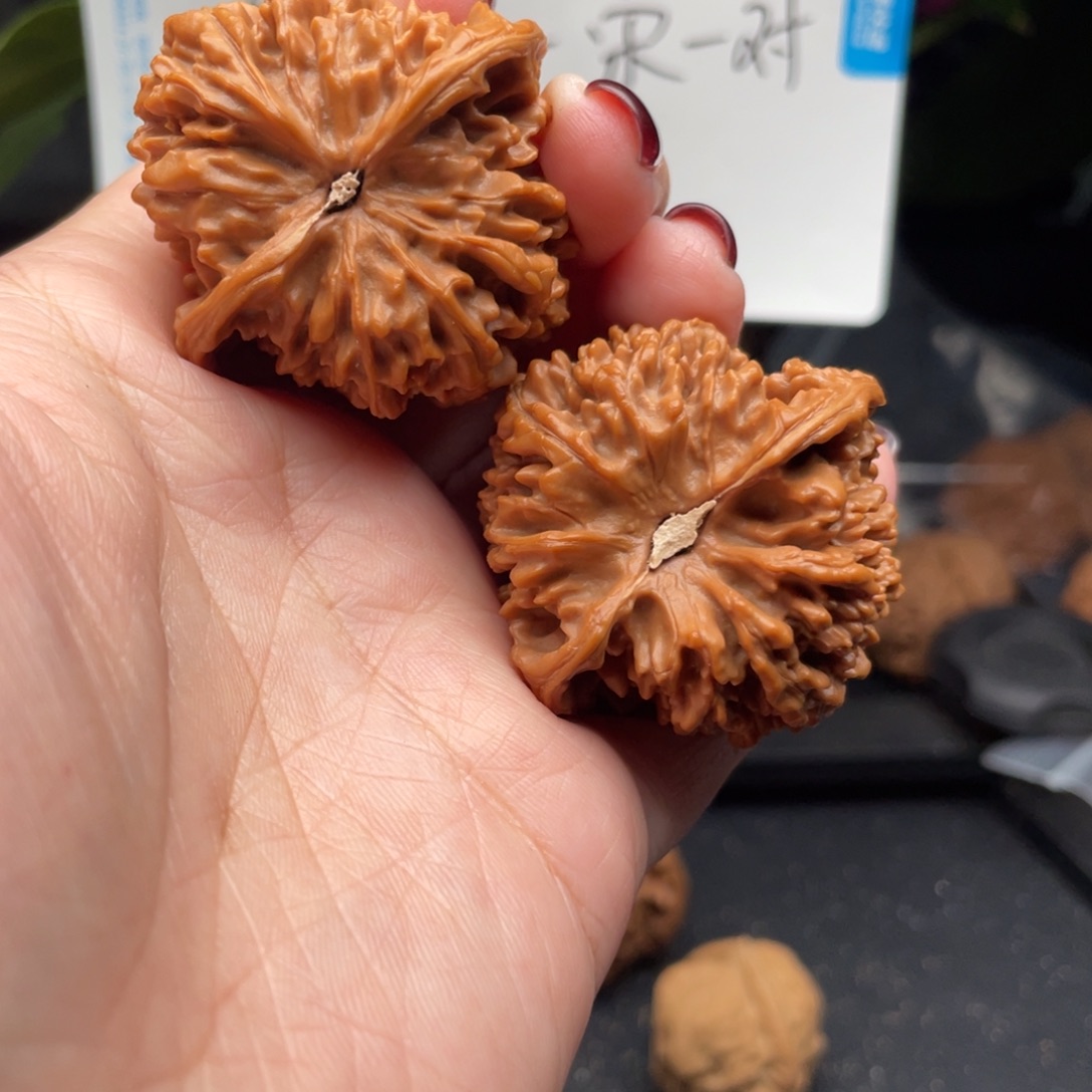 文玩核桃把件满天星