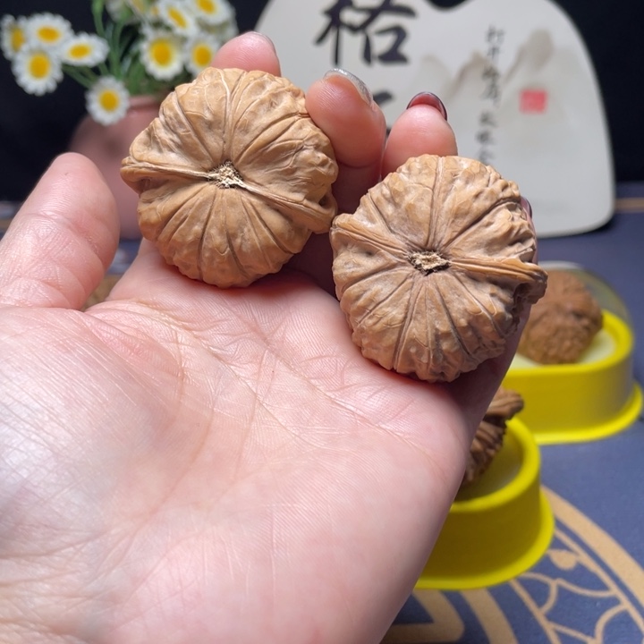 核桃43尺寸南瓜墩