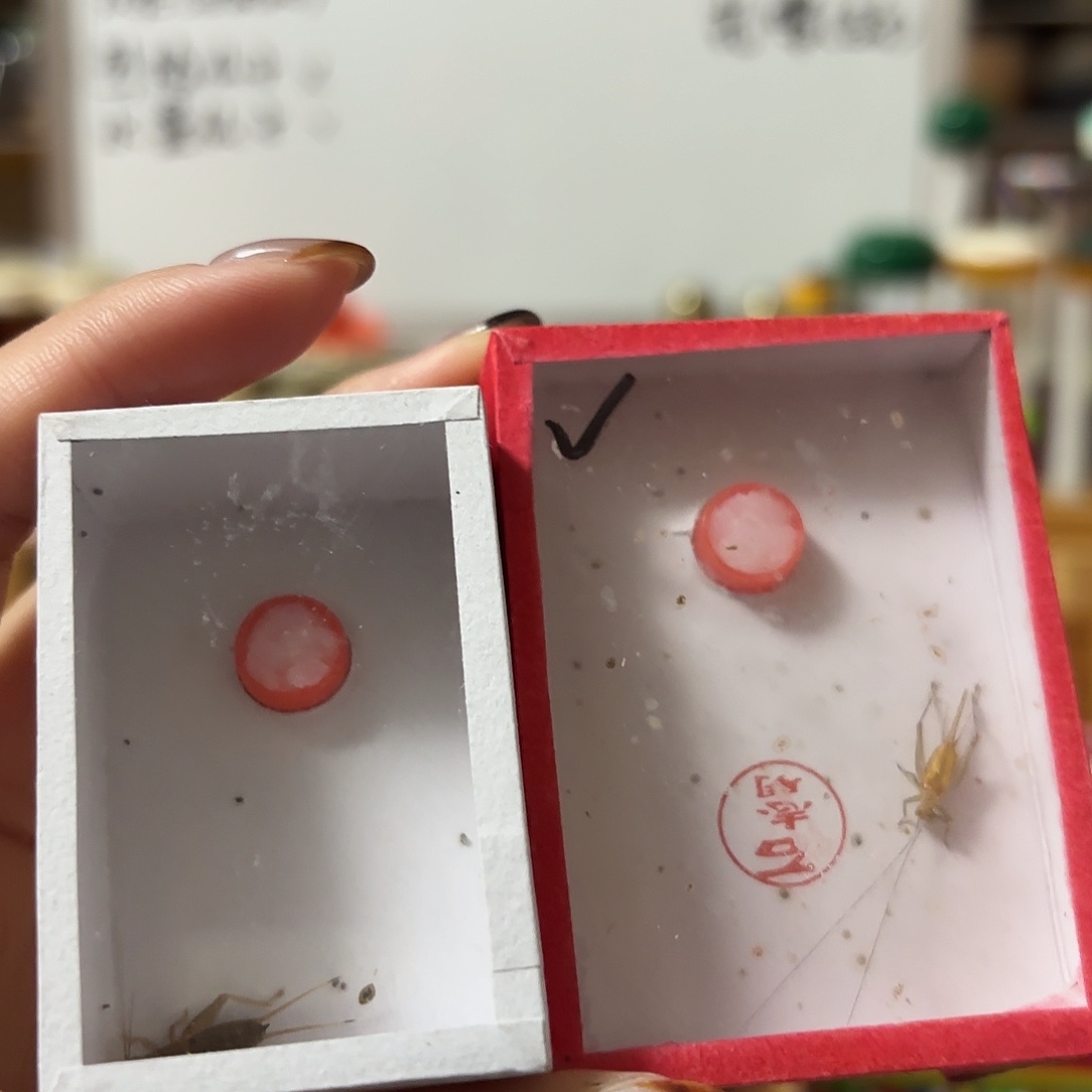 双痣 石特级 不包断须尾