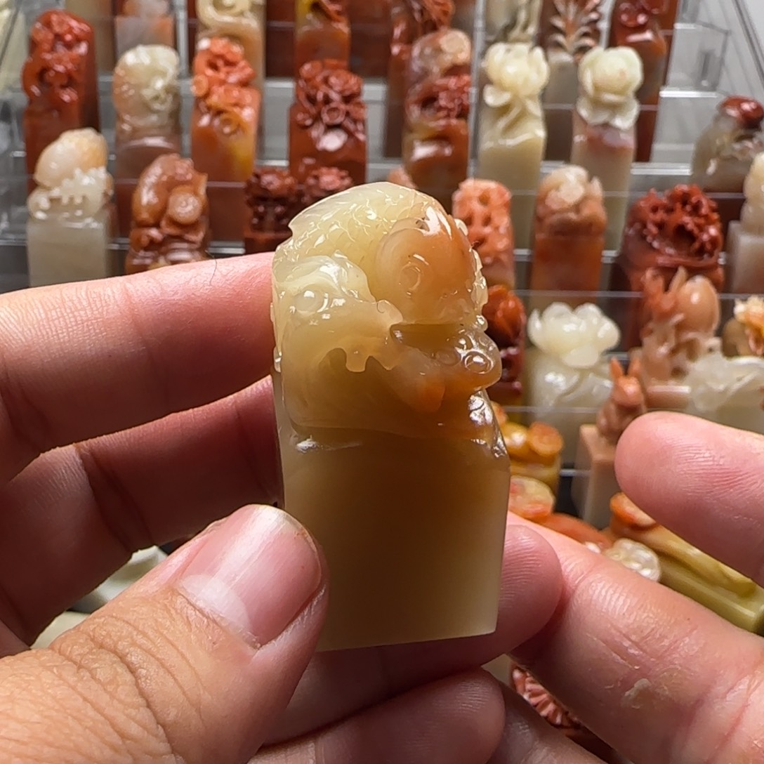 老挝石锦鲤 2.5×5