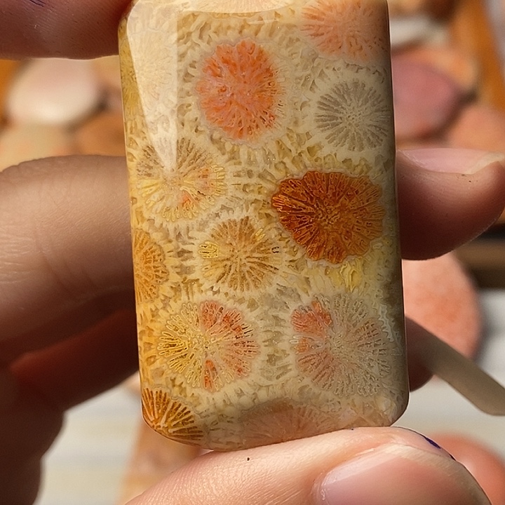 用***4硅化玉未镶嵌颈饰