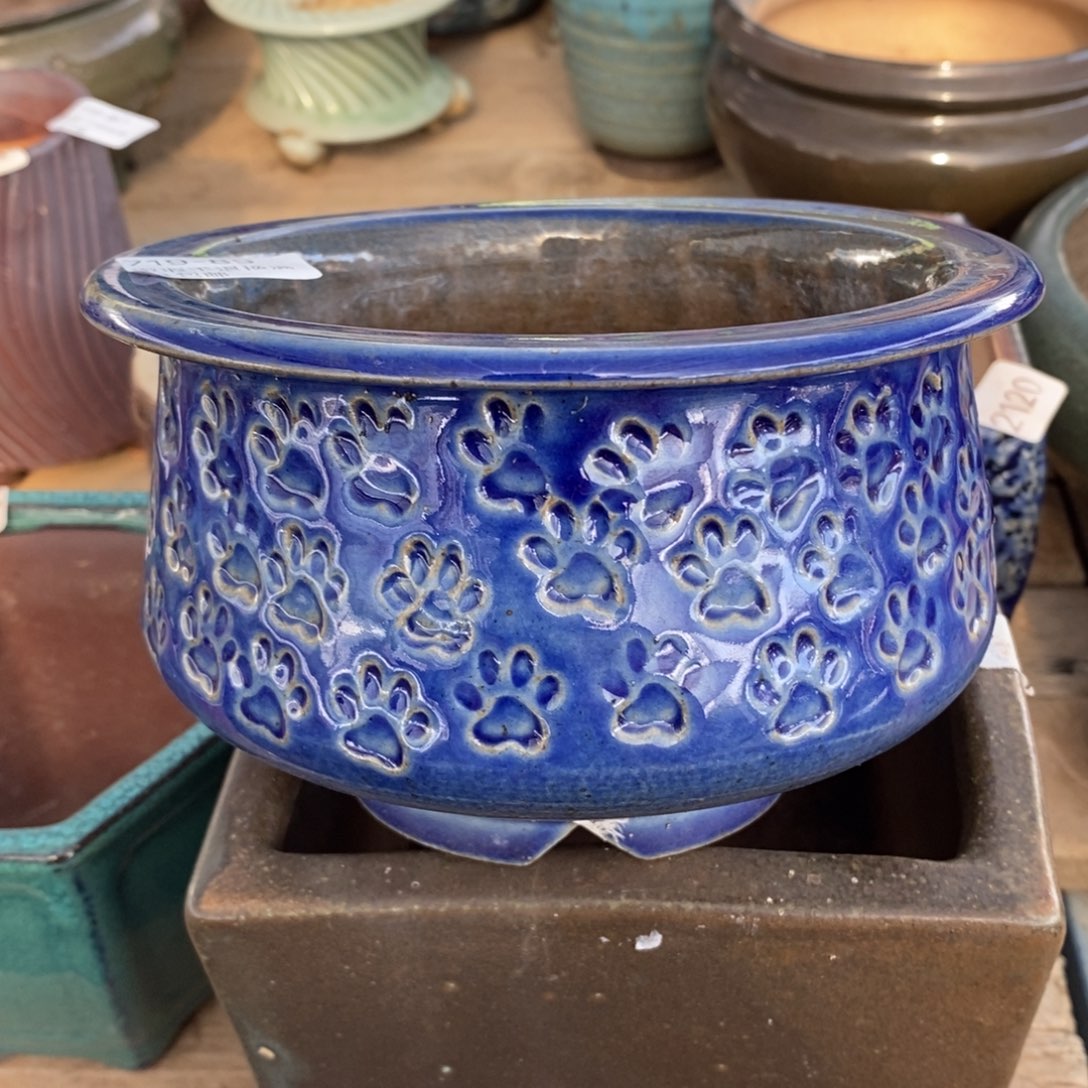 89号多肉盆口径13东云