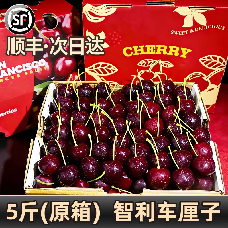 X【顺丰次日达】4JDD智利进口车厘子原箱5斤桑提娜空运发货新鲜水果孕妇宝宝内附果径卡桑提娜樱桃智利共和国