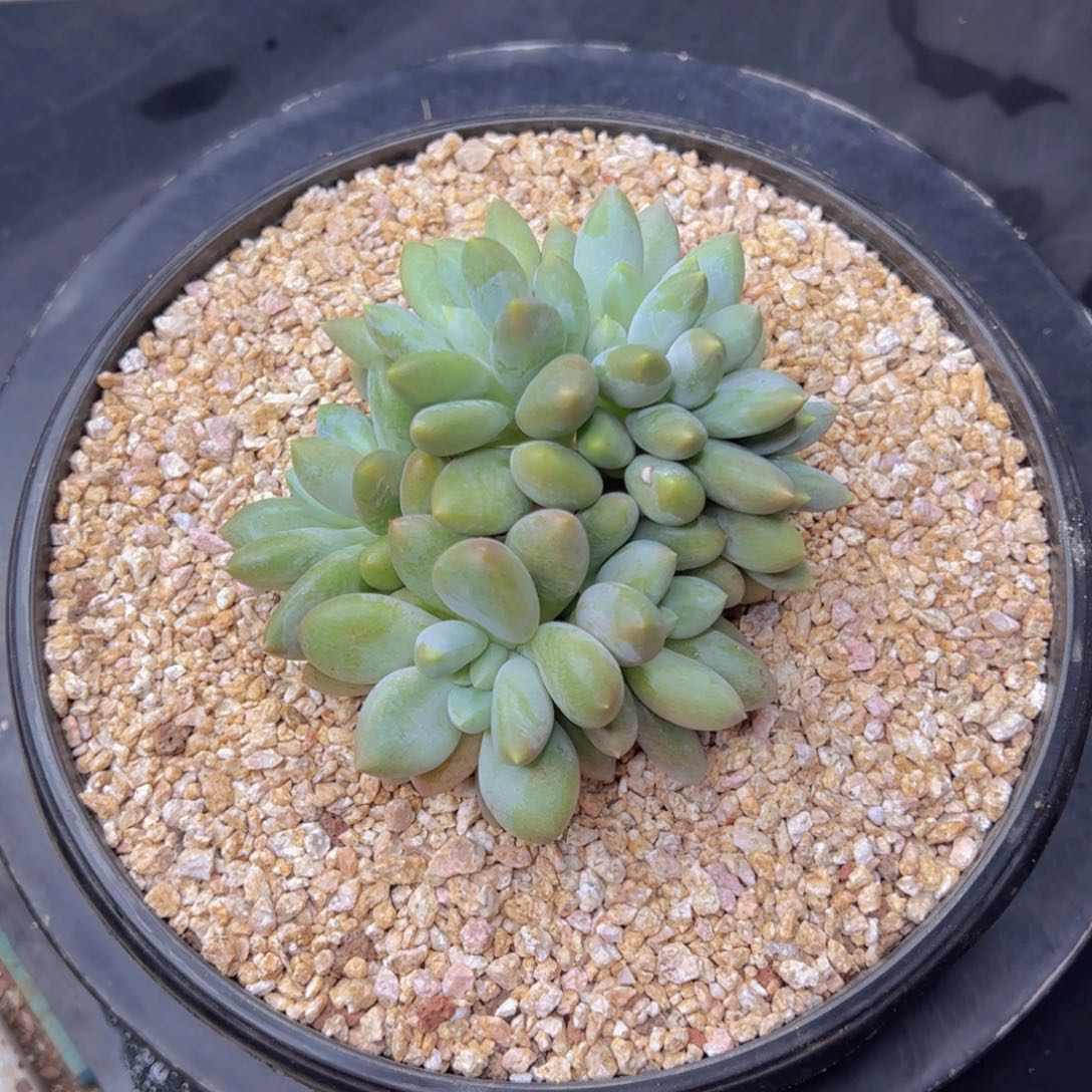 11111111111111111111