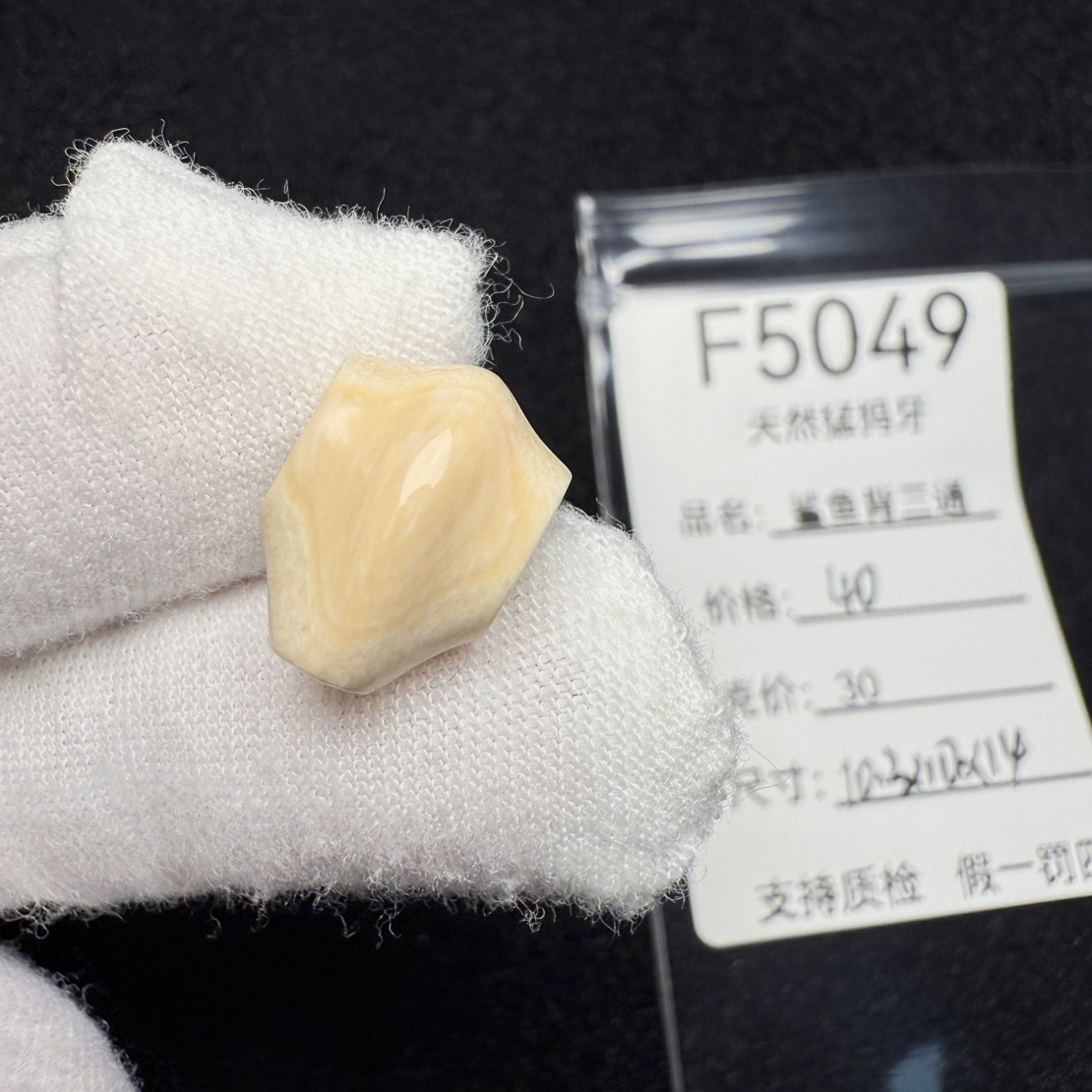 F5049猛犸象牙鲨鱼背一体三通冰料果冻料10.3*10*14mm
