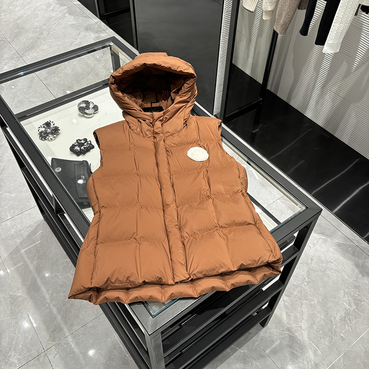 25年秋冬新款 时尚百搭休闲显瘦连帽羽绒服方块马甲-8809