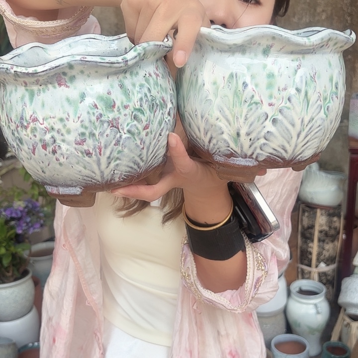 口径16高14两个白菜