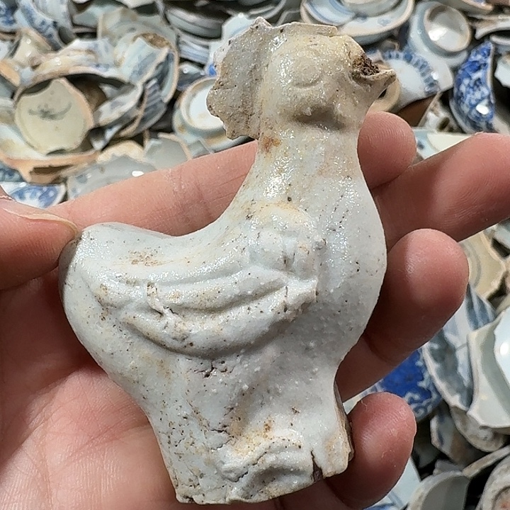 瓷片瓷片标本，顺丰包邮