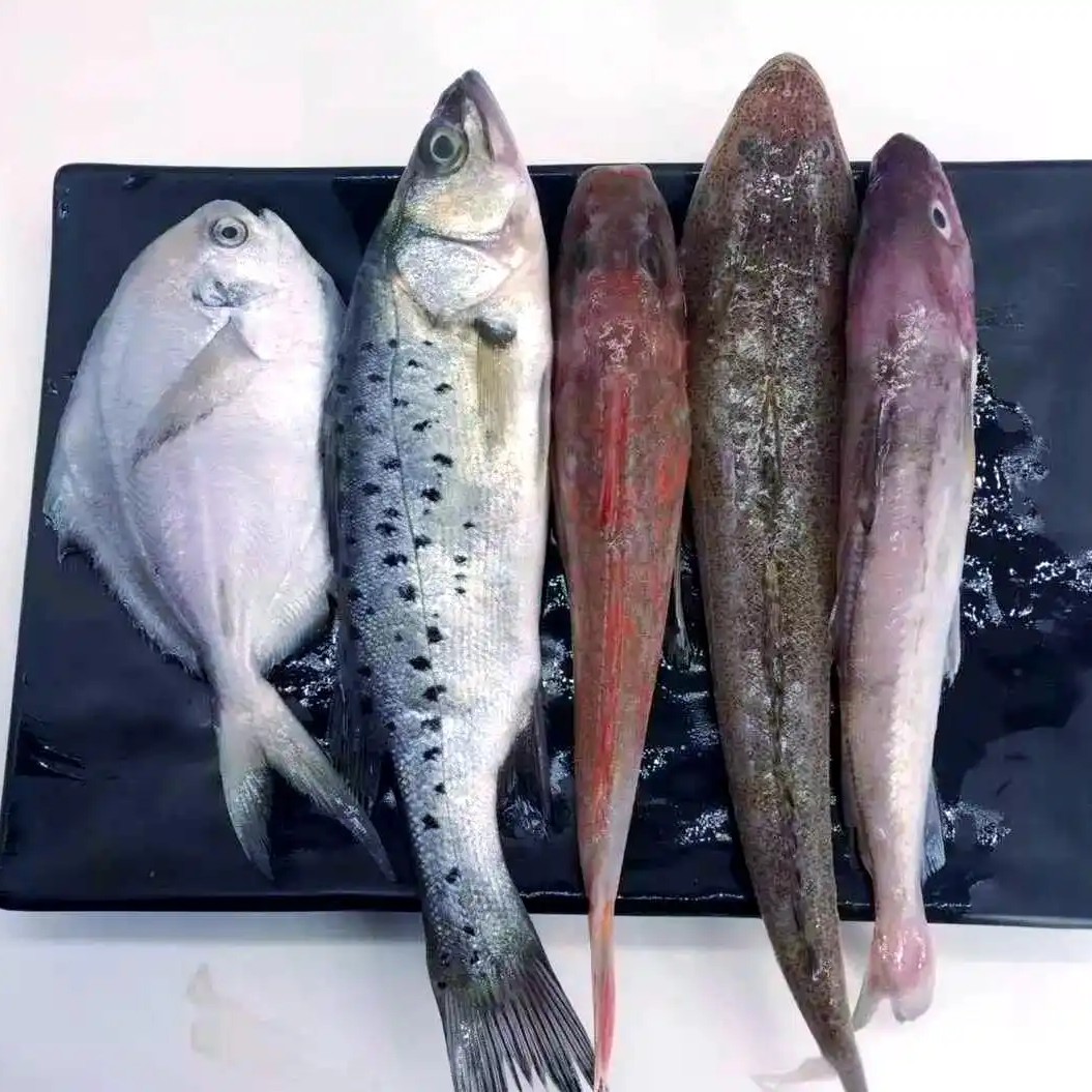 海杂鱼现场拼单实物重量以直播间为准