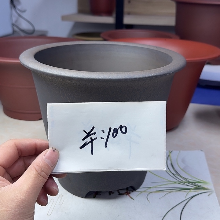 春秋花盆精品兰盆