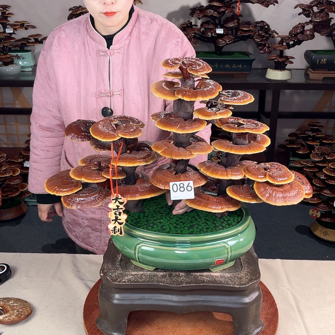 万事如意88888086