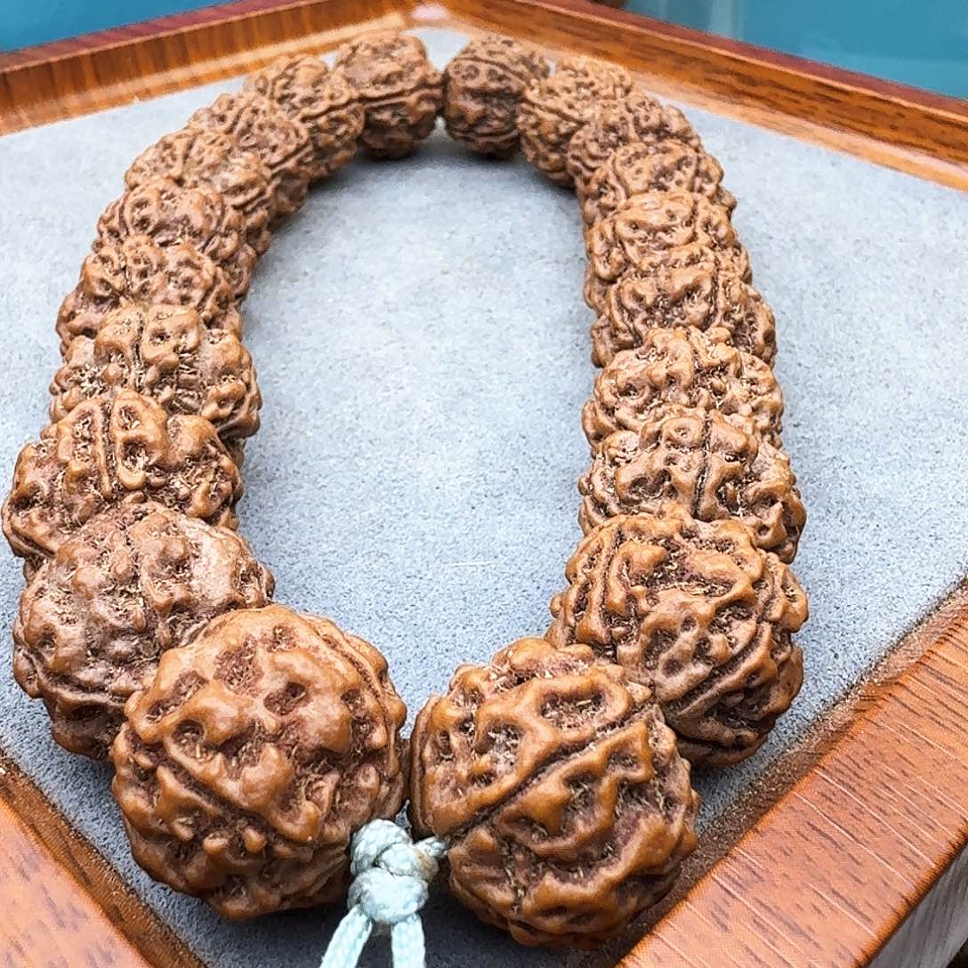 金刚菩提手串海****总飞碟梅花