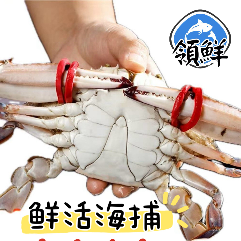【鲜活】巨无霸大东公蟹单只 6-7 两/只 （海捕蟹掉小腿属于正常）斤【鲜活发货】【保鲜不保活】