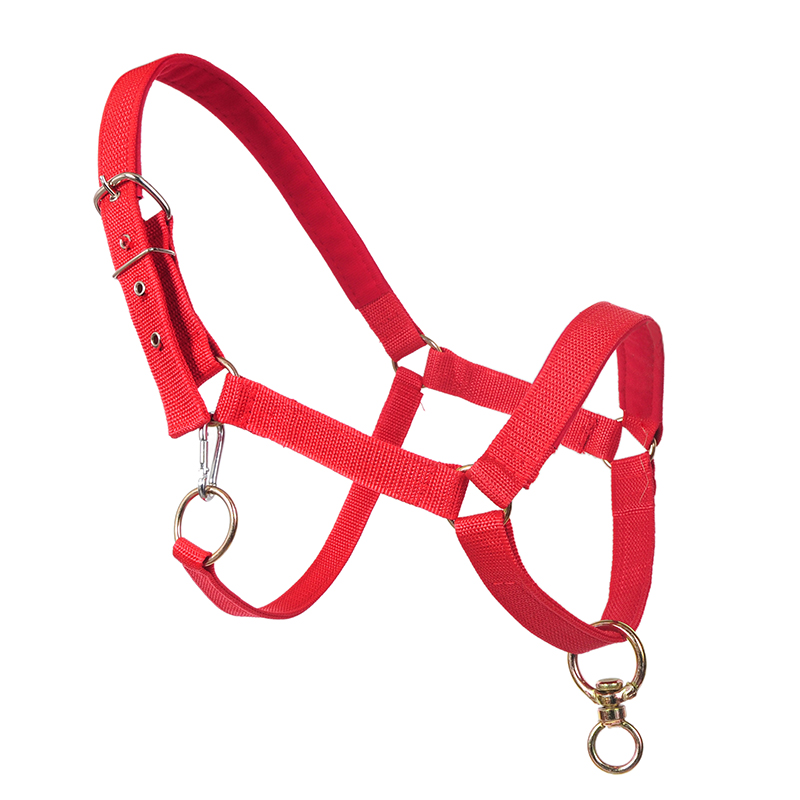 马笼头蹶子全套  马笼头一套正品 批发  防磨 马嘴套马龙头马笼套