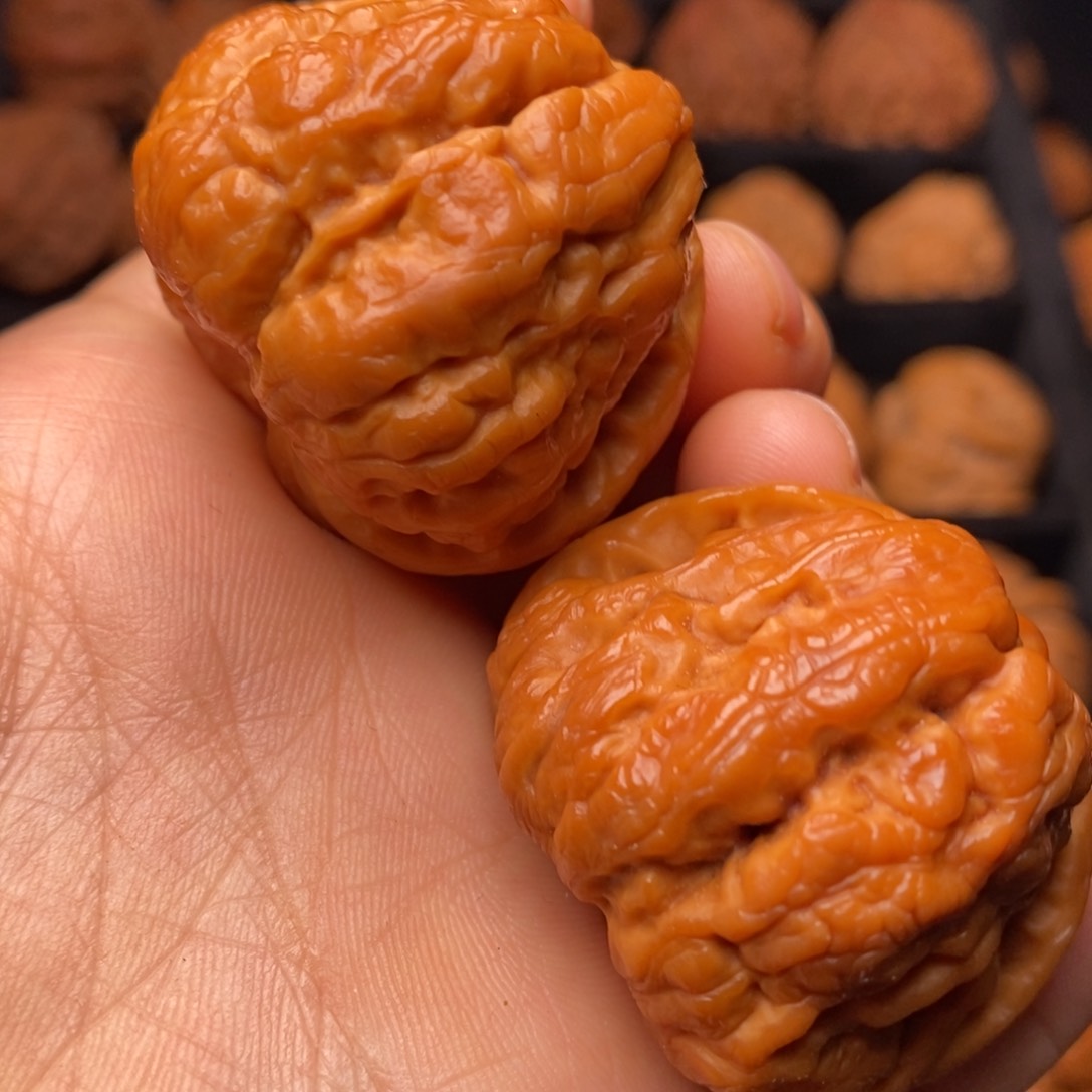 文玩核桃把件秦岭野生核桃