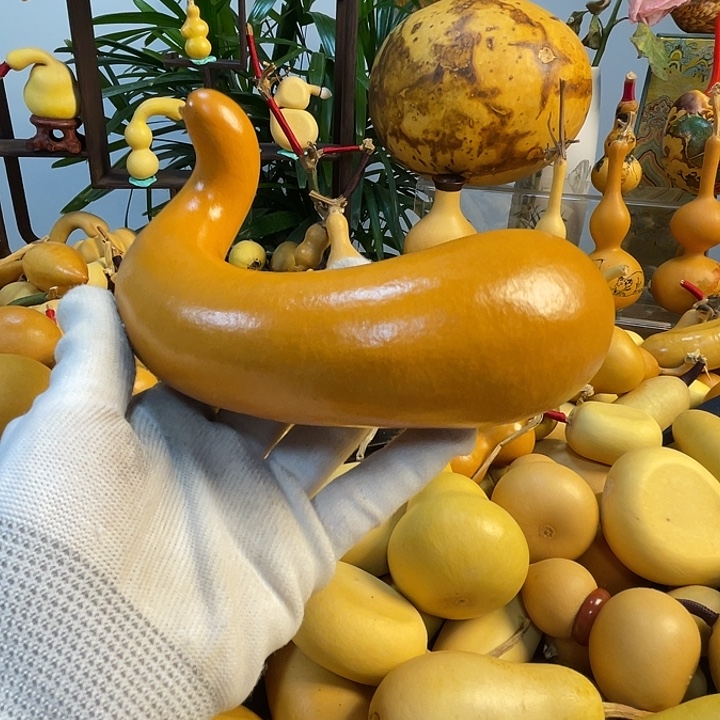 顾***问藤手把葫芦精品系列37