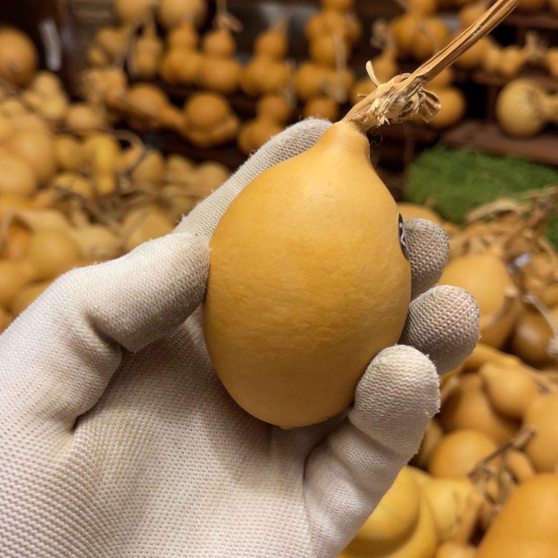 闪拍葫芦链接-29号品