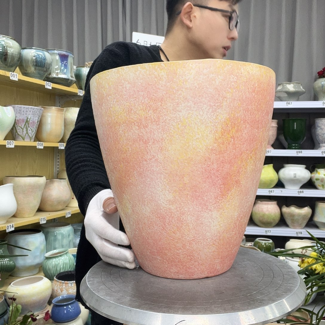 花盆里的小猫咪们都好