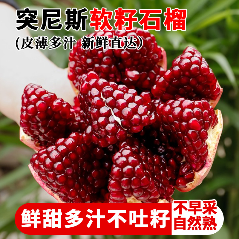 【突尼斯软籽石榴】正宗四川会理软籽石榴爆甜新鲜应季产地直发水果