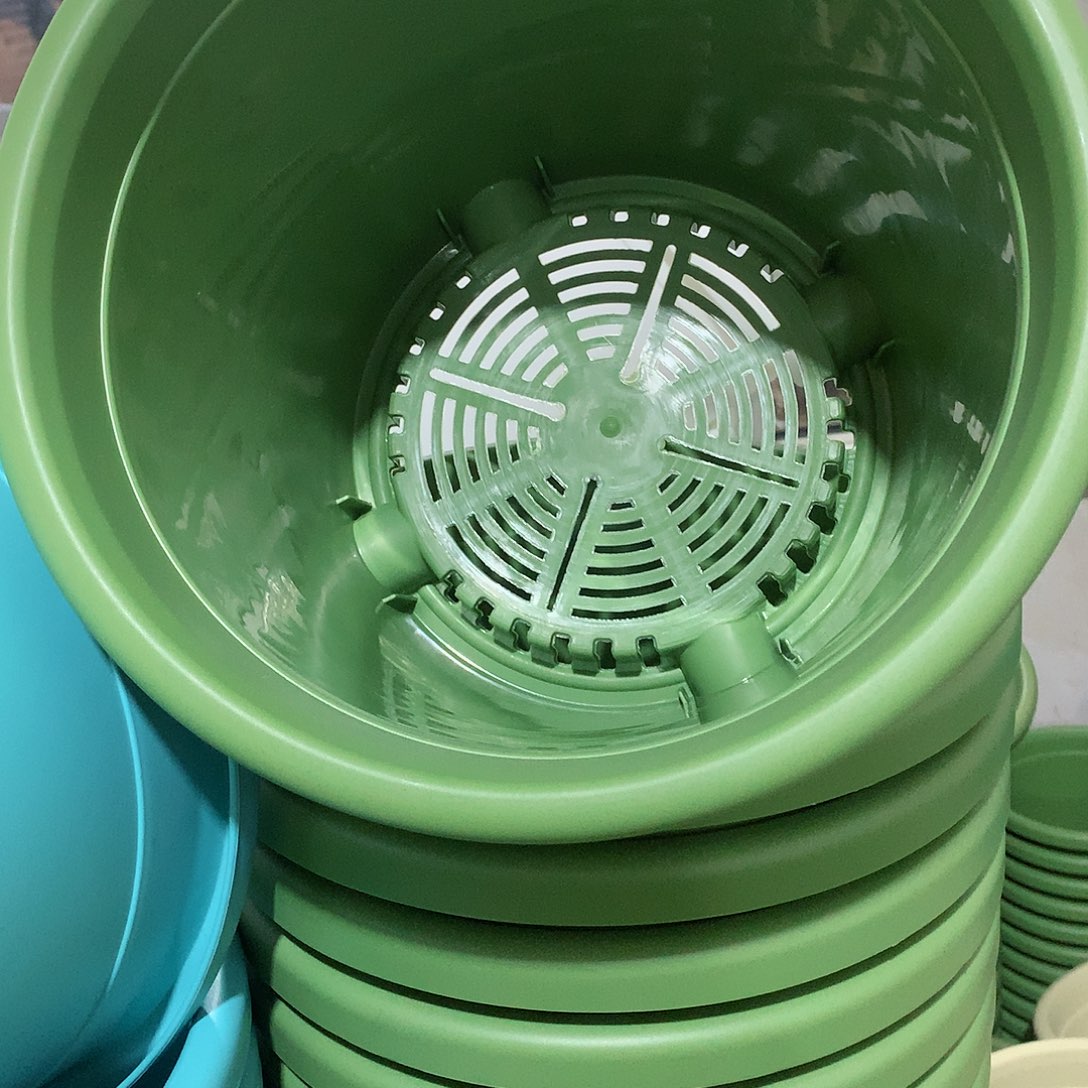 树脂四季新口25果绿4个无托