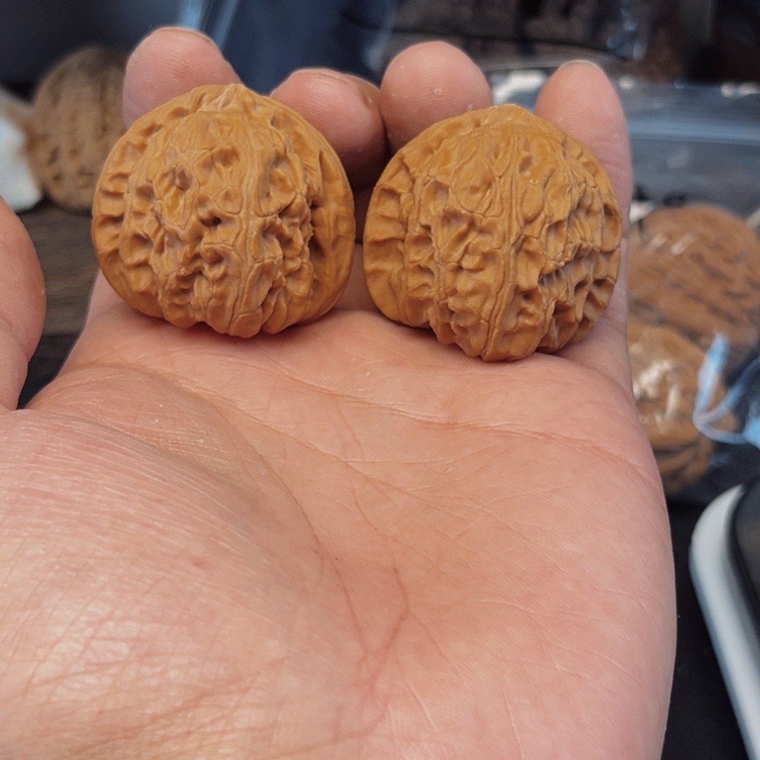 文玩核桃把件37白狮子