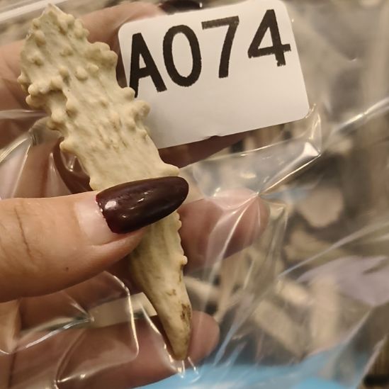 义***鹿角鹿角鹿角鹿角鹿角