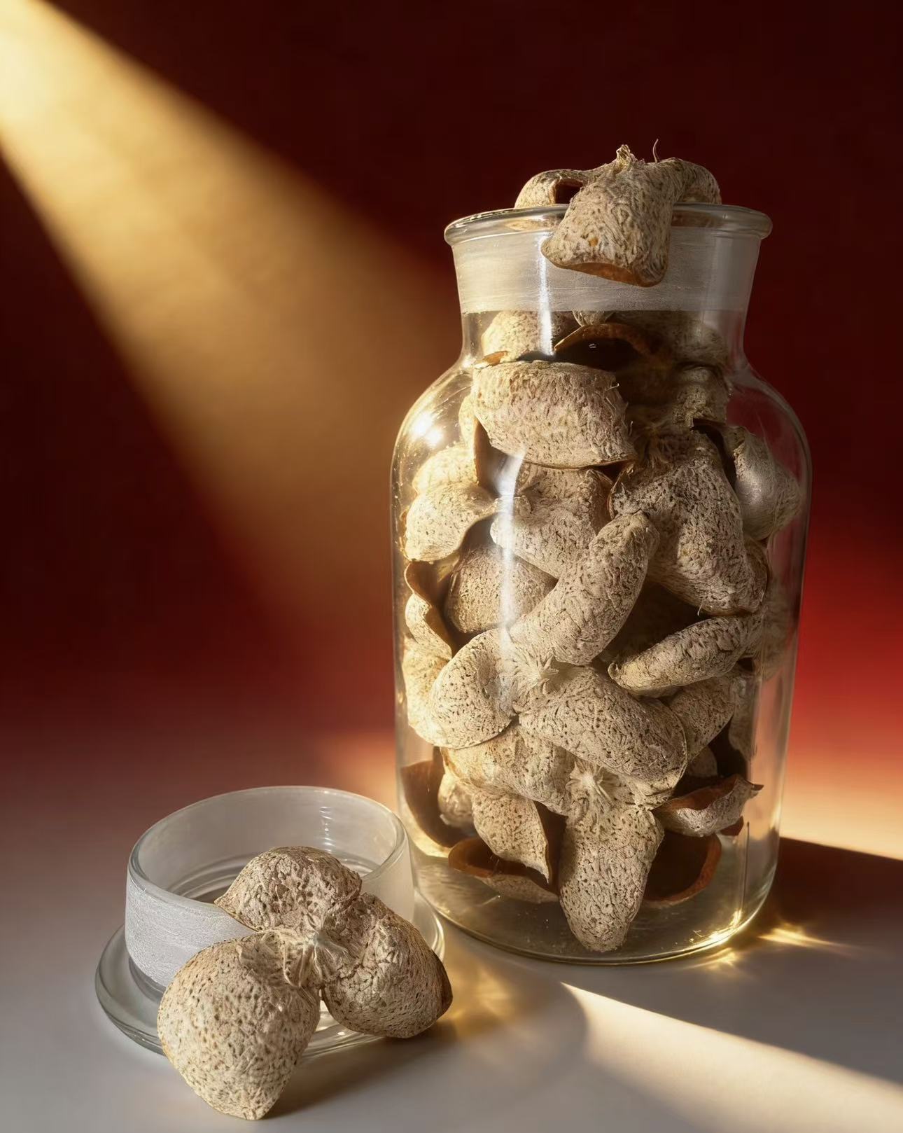 2025年东甲 牛比围 老树 原枝 冬后大红  精挑树顶果