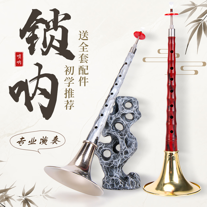 唢呐套装乐器初学者d调唢呐专业演奏降b调乐器全套配件入门唢呐