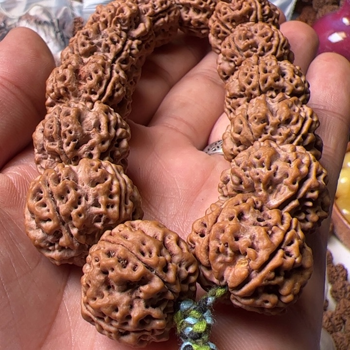 金刚菩提手串23雪山铁籽蜂窝双龙