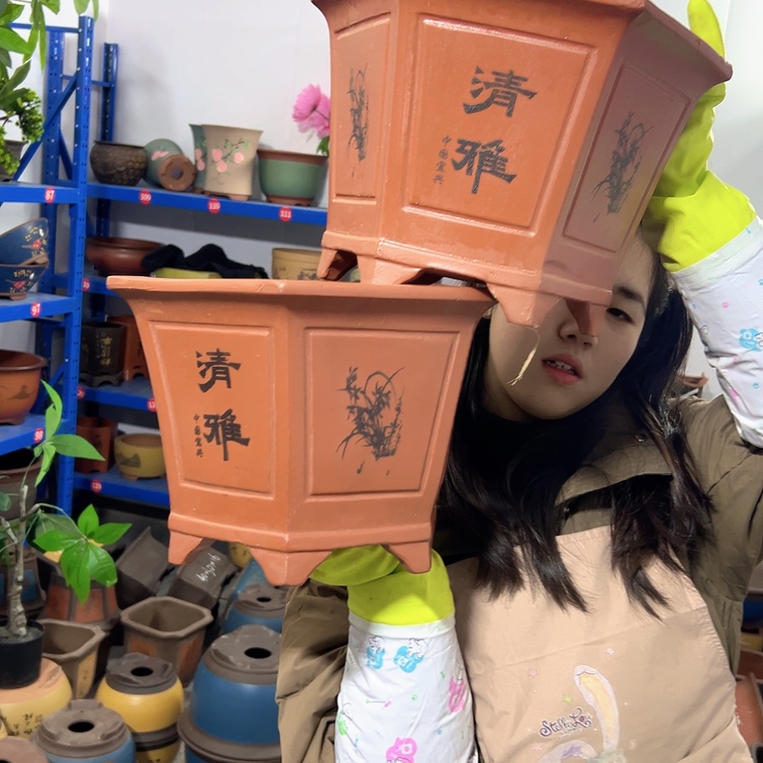 32+32红清雅六方花盆花盆花盆