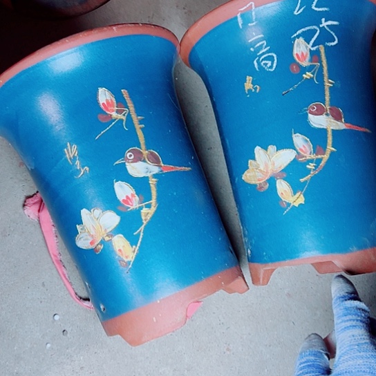 红陶紫砂紫砂紫砂