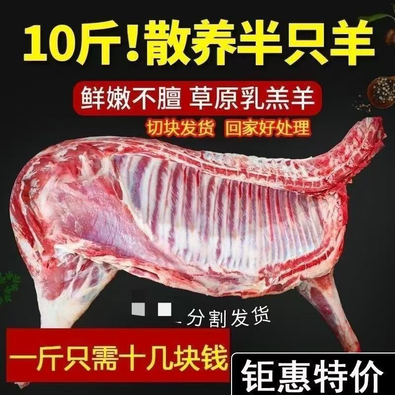 高品质半只羊10斤顺丰冷链不拼接不合成半羊75%腿排25%羊蝎子切块
