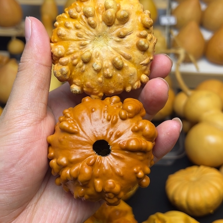 可*鱼福利福利福利福利