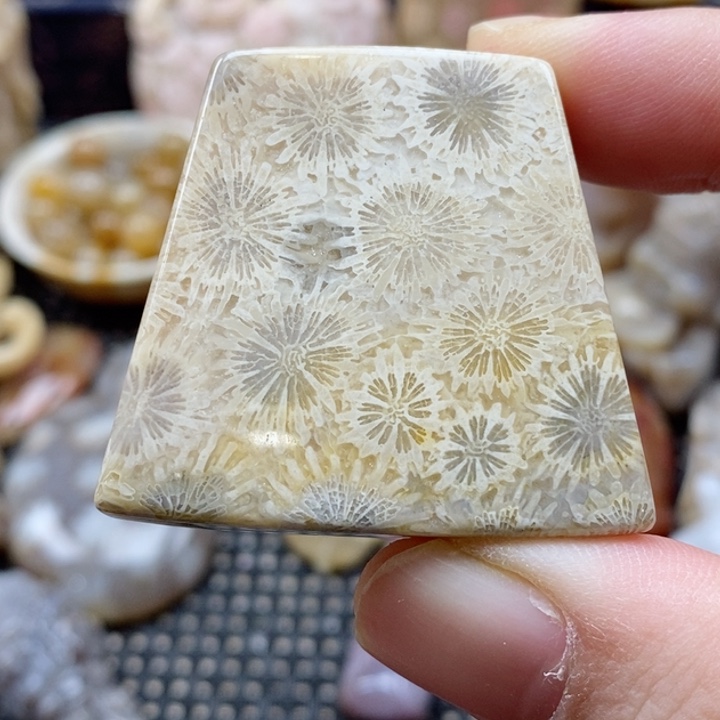 硅化珊瑚（珊瑚玉）颈饰未镶嵌