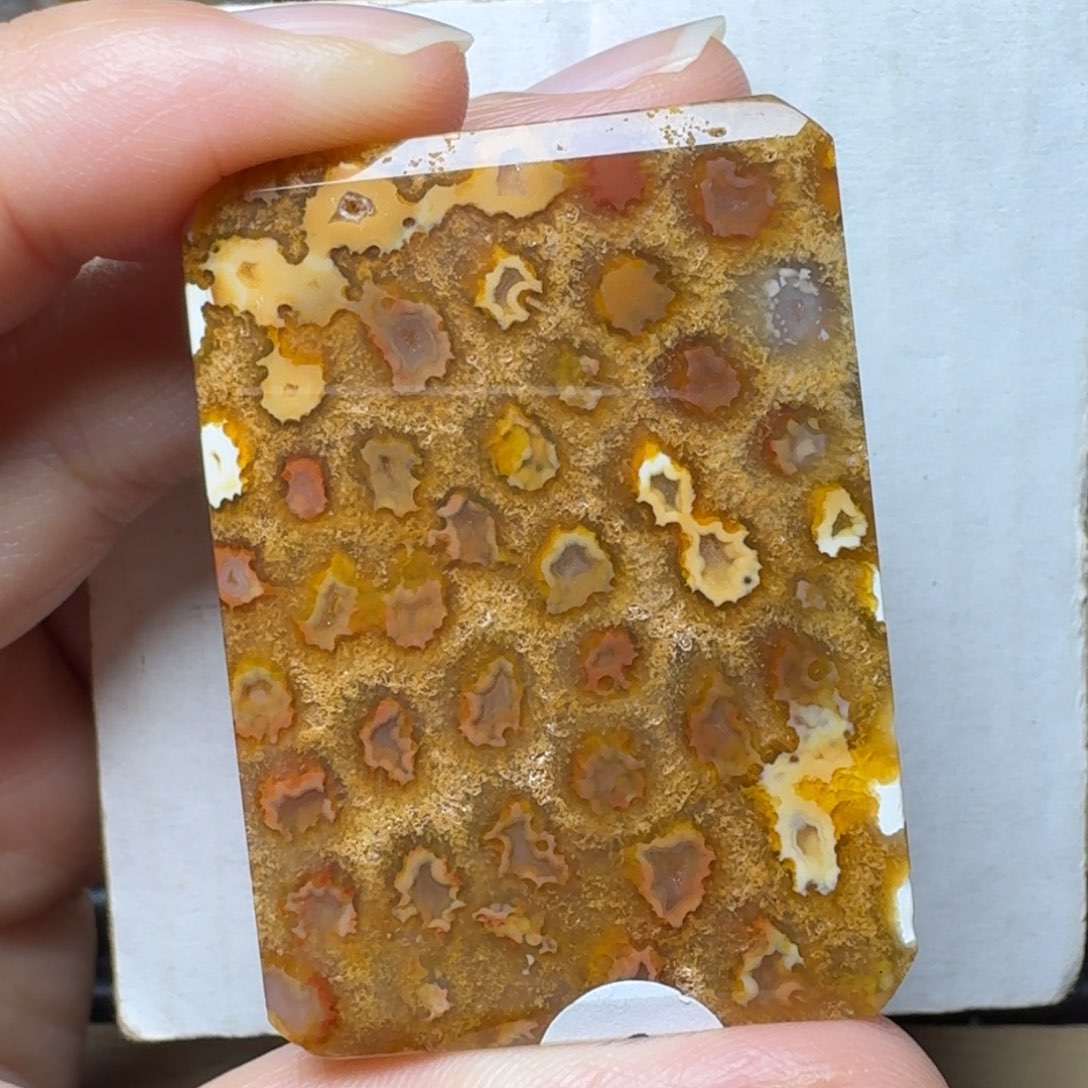 石英质玉糖红、背面白皮 玛 玛 瑙花，可盘未镶嵌