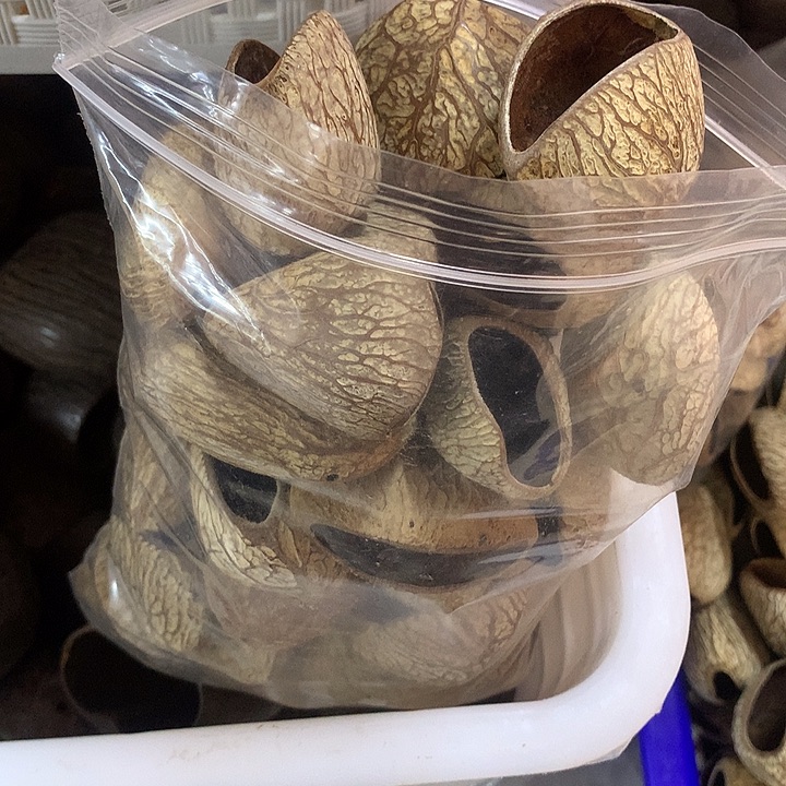 千眼菩提吊坠随形印尼黑果壳50个