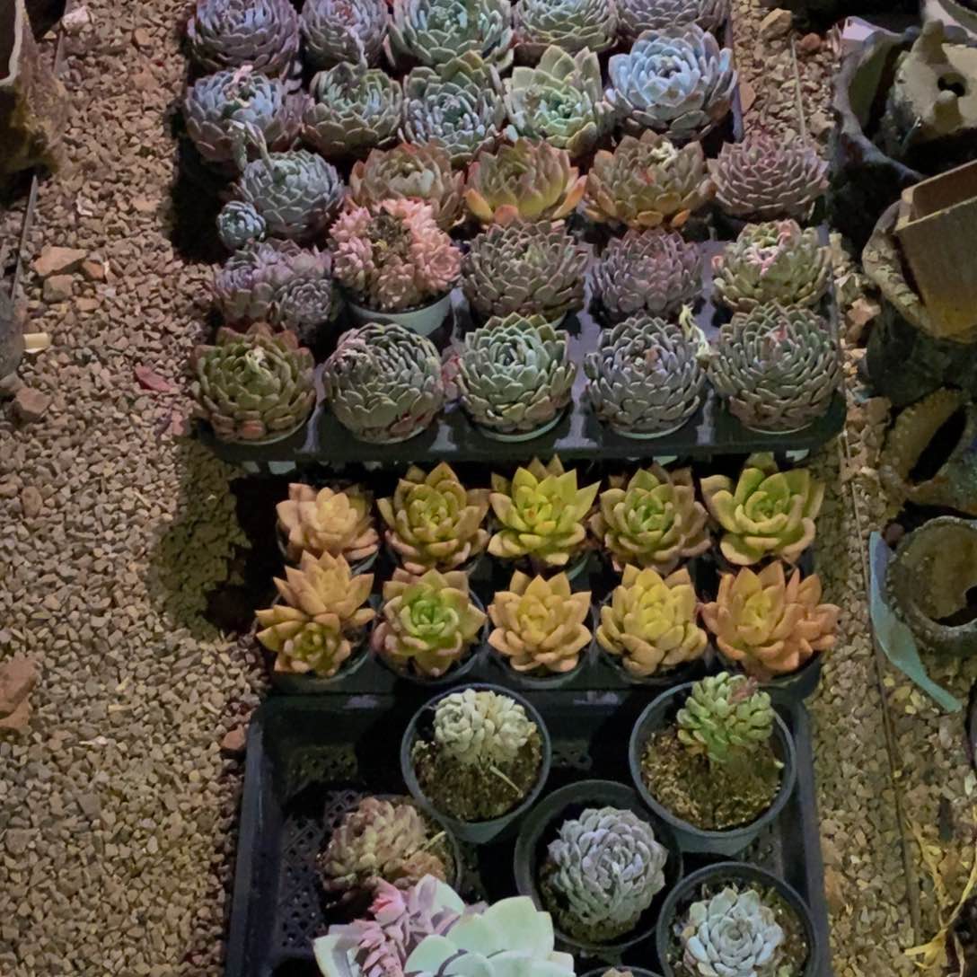 212的人生态度就是这样一个